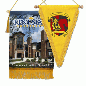 Banner, Full Color Friendship Pennant